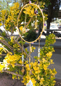 Desert Aura Suncatcher
