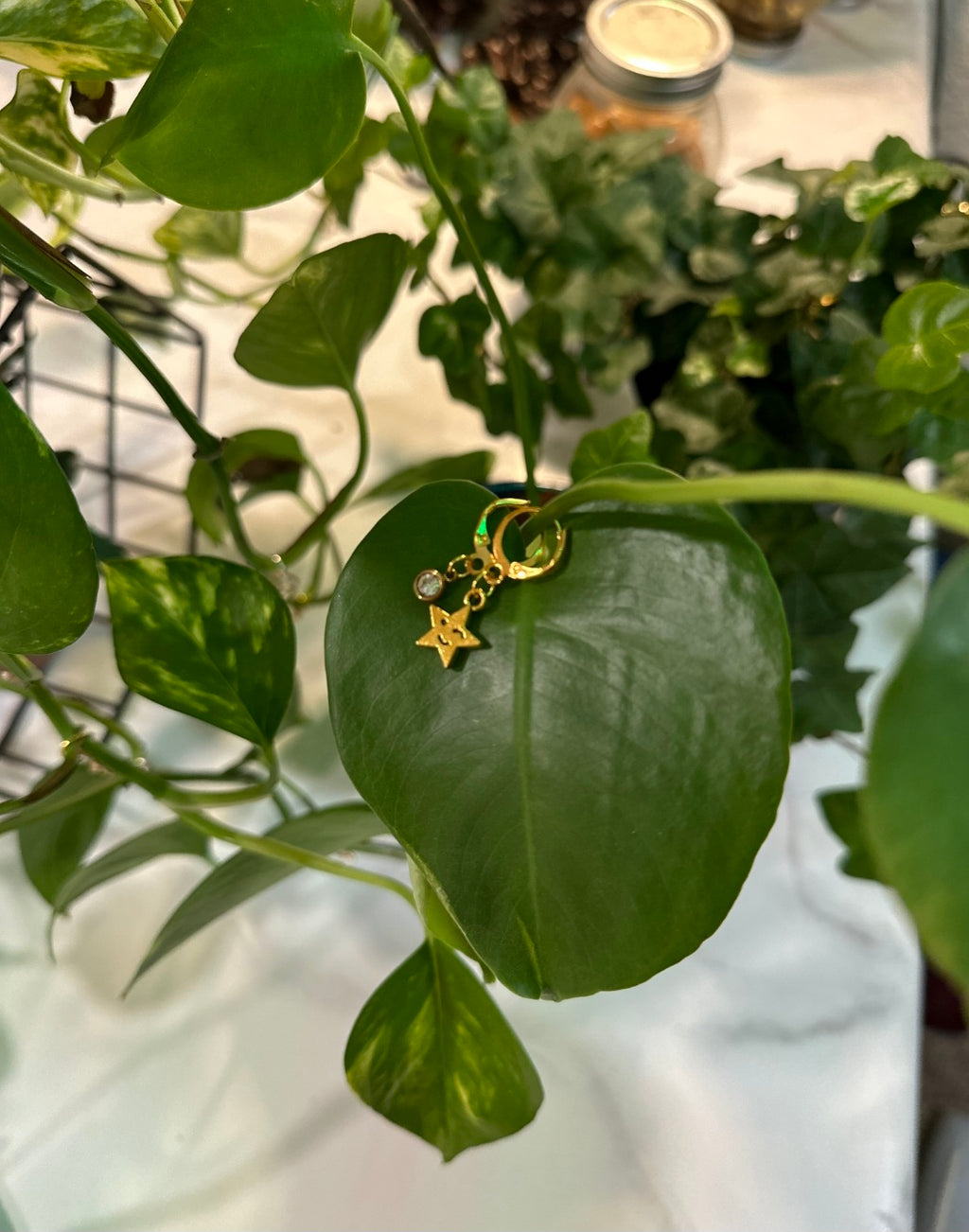 Plant Vine Charms (pack of 10)